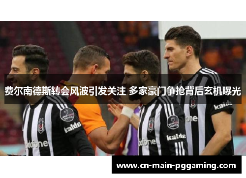 费尔南德斯转会风波引发关注 多家豪门争抢背后玄机曝光