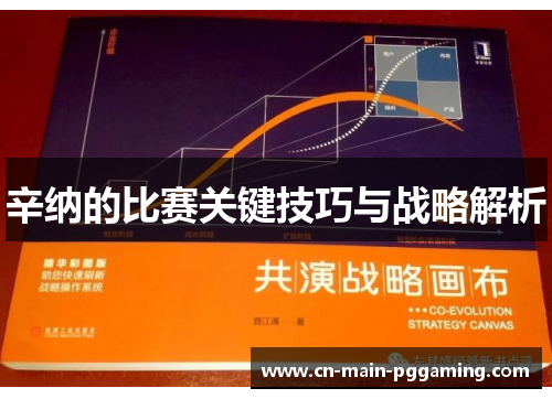 辛纳的比赛关键技巧与战略解析 辛纳的比赛关键技巧与战略解析