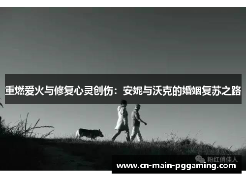 重燃爱火与修复心灵创伤：安妮与沃克的婚姻复苏之路