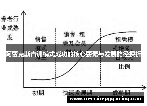 阿贾克斯青训模式成功的核心要素与发展路径探析 阿贾克斯青训模式成功的核心要素与发展路径探析