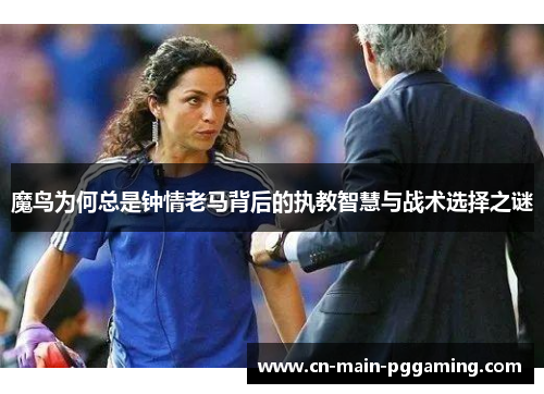 魔鸟为何总是钟情老马背后的执教智慧与战术选择之谜